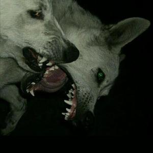 appreciation interlude