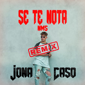 Se Te Nota (Remix)