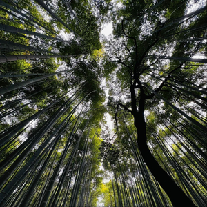 Beauty in the Breakdown