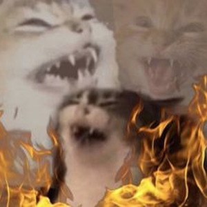 Life Is Worth Living (slowed)