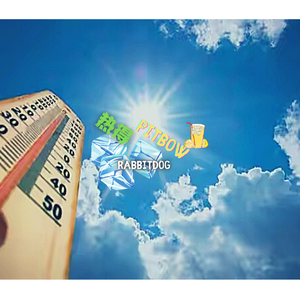 热得PITBOW(Rabbitdog)