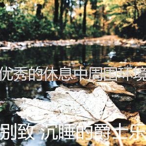 优美松弛器乐