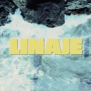 Linaje