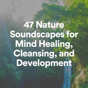 Soundscapes of Nature Melodies, Pt. 7