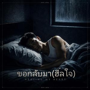 ขอกลับมา(ฮีลใจ) HEALING MY HEART