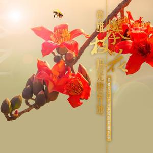 太阳在这里歌唱 (小提琴版)