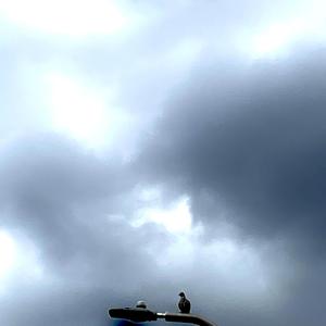 Serene (feat. Cloke & LUUV.)