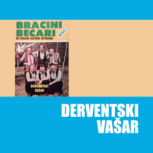 Iz tudjine podjoh u armiju