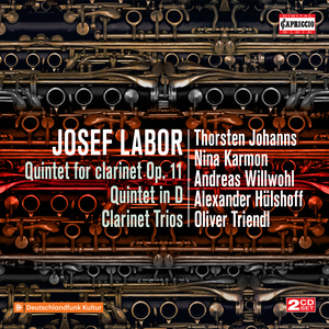 Quintet for Oboe, Clarinet, Bassoon, Horn and Piano in D Major:IV. Thema mit Variationen. Moderato