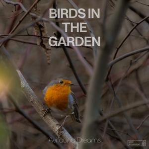 Birds in the garden
