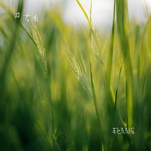 莺歌荡山谷