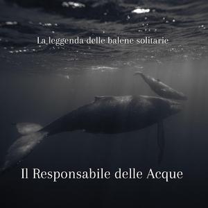 La leggenda delle balene solitarie
