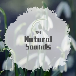 雨季随想 (Ver. 2022)