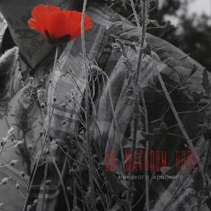 на маковом поле