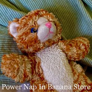 Power Nap In Banana Store