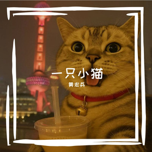一只可爱小猫