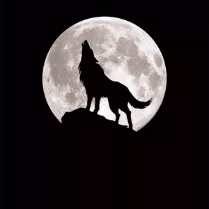 殊宠（Cover 河图）