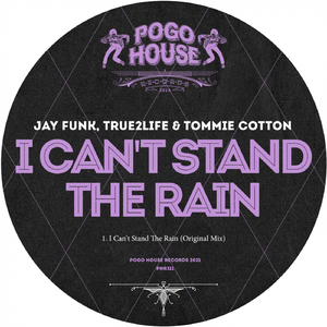 I Can't Stand The Rain (Original Mix)