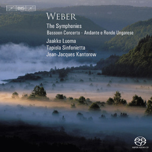 Symphony No. 2 in C Major, J. 51: I. Allegro