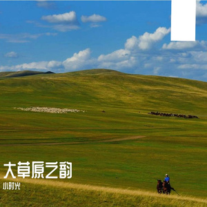 大草原之韵