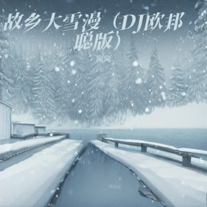 故乡大雪漫 (Dj欧邦聪版)