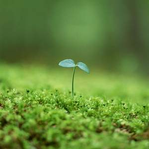 当月亮沉入了海底我多想片刻拥有你