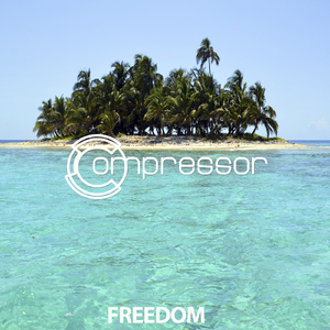 Silicon Souls (Radynamix Dub Remix)