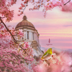 Soothing Spring Mode