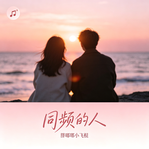 同频的人