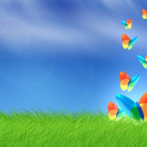 我是一个有钱人翻自 刘二