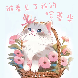 谁看见了我的哈基米（DJ弹鼓版）