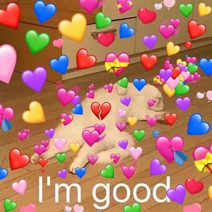 甜甜的情人节？