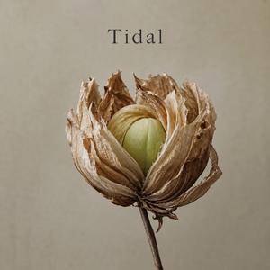 Tidal