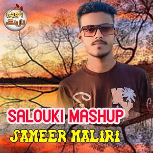 Salouki Mashup