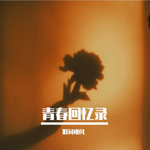 青春回忆录