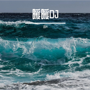 梁静茹-暖暖（小H remix）