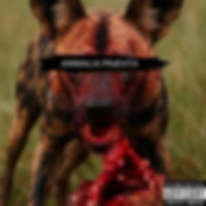 Jerry (DÖMHÖVVE Remix)