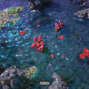 黑甘草（prod.Morrow）