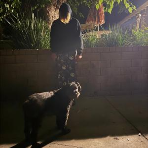 Not Many Thugs (testing)