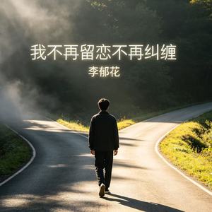 我不再留恋不再纠缠