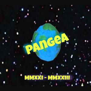 Kitty Kitty Meow Meow