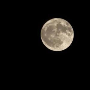 月亮代表不了我的心