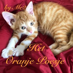 Het Oranje Poesje