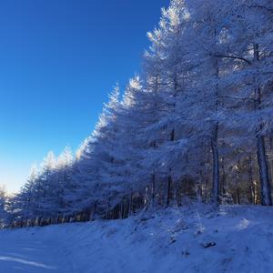 CADY-生而为人（你是谁我是谁 remix）