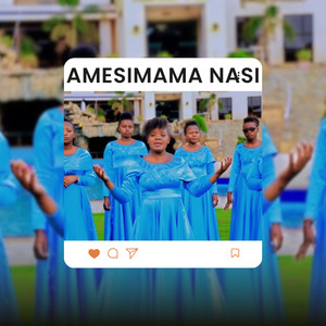 AMESIMAMA NASI