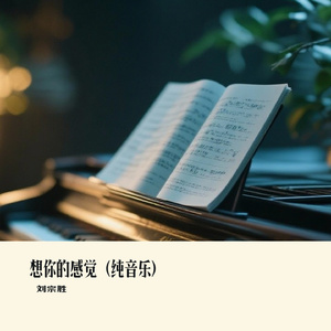 想你的感觉（纯音乐）
