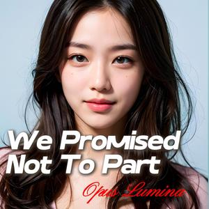 We Promised Not To Part