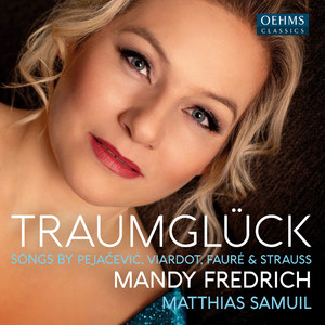 Warum?, Op. 13