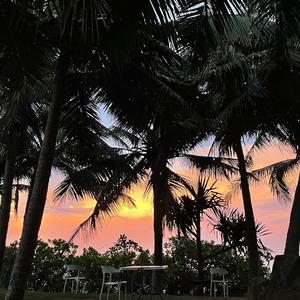 Ask（翻自 J.DON）