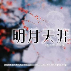 明月天涯